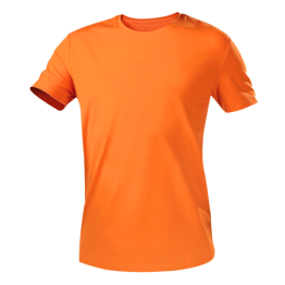 Áo Thun cổ tròn 02